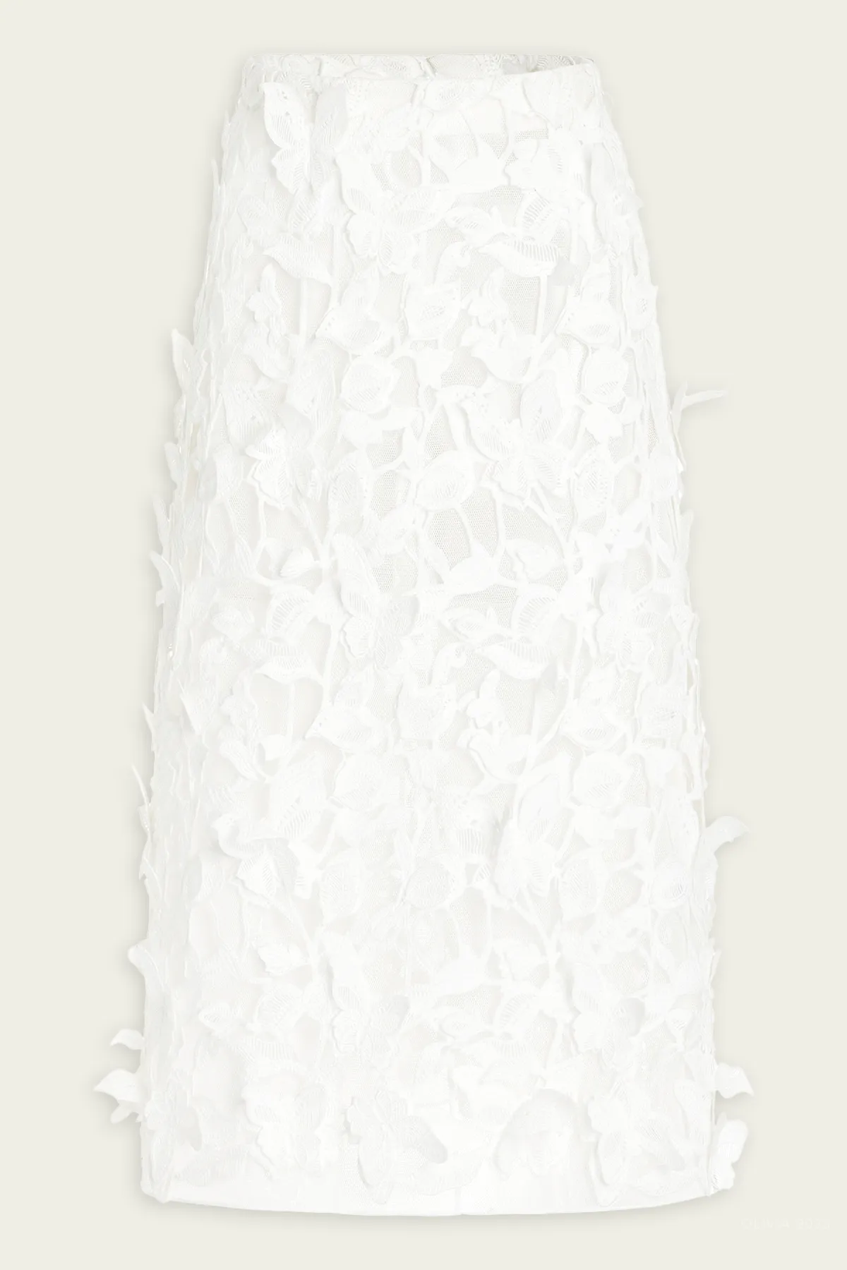 Ambrosia Applique Midi Skirt in White