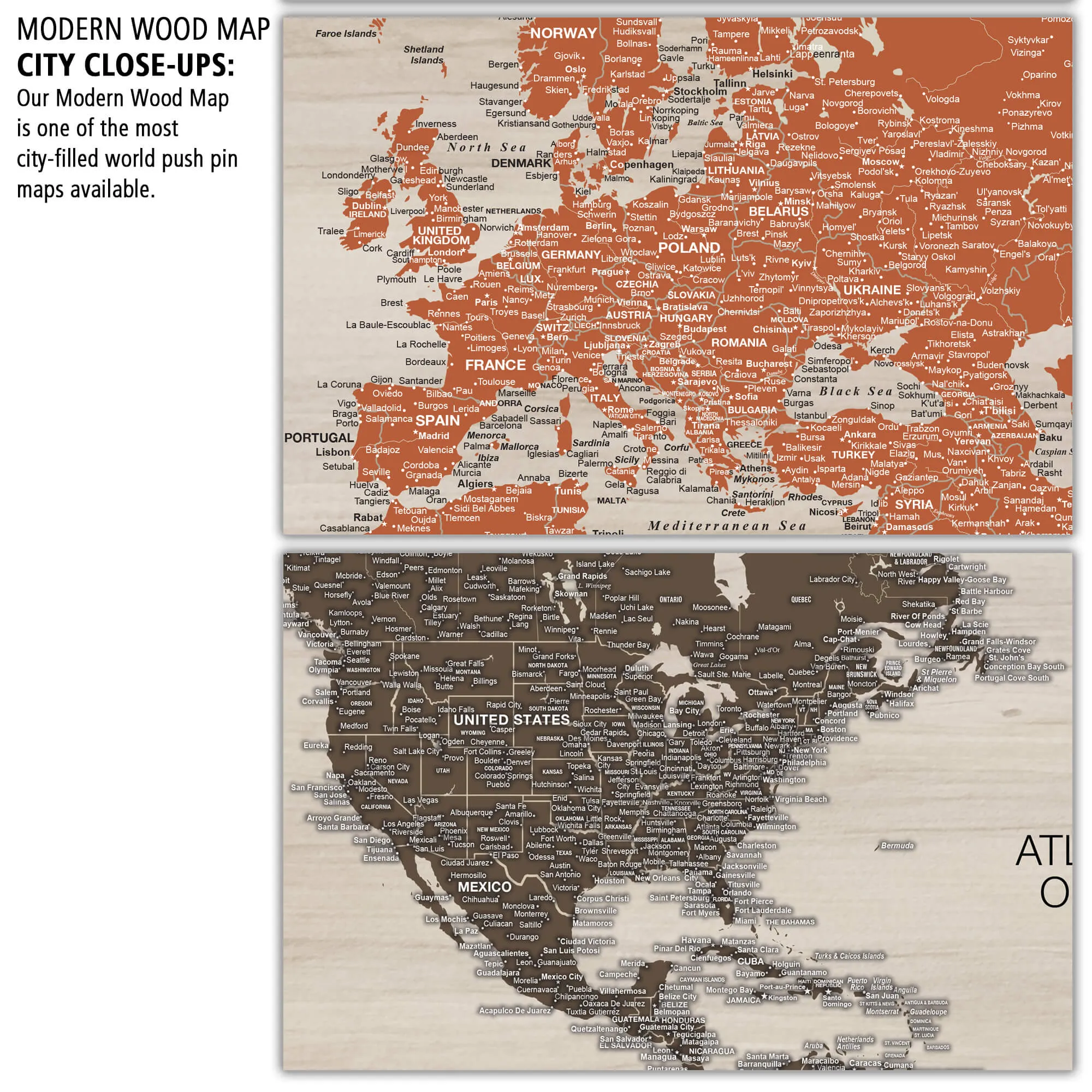 Modern Wood Push Pin World Map